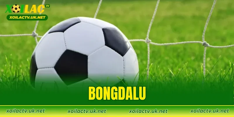 Bongdalu