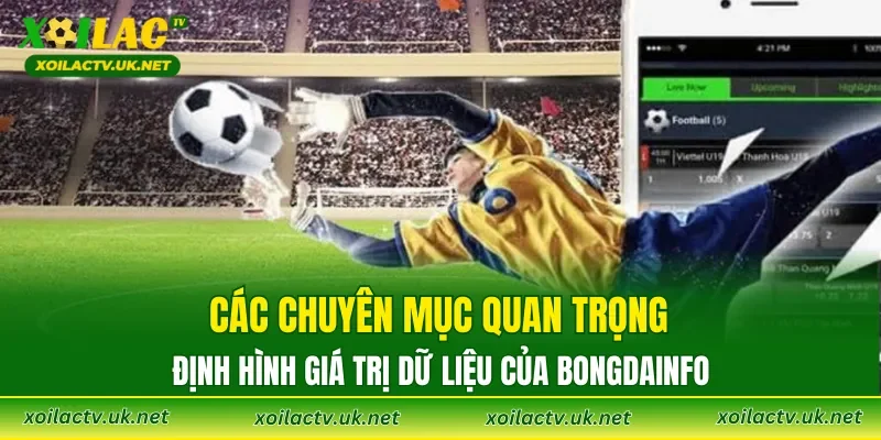 Các chuyên mục quan trọng định hình giá trị dữ liệu của Bongdainfo