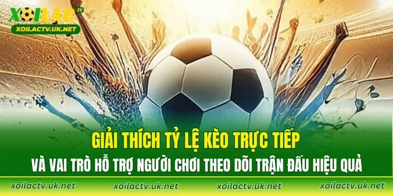 Giải thích Tỷ lệ kèo trực tiếp và vai trò hỗ trợ người chơi theo dõi trận đấu hiệu quả