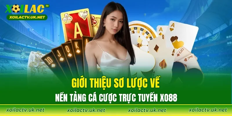 Giới thiệu sơ lược về nền tảng cá cược trực tuyến XO88