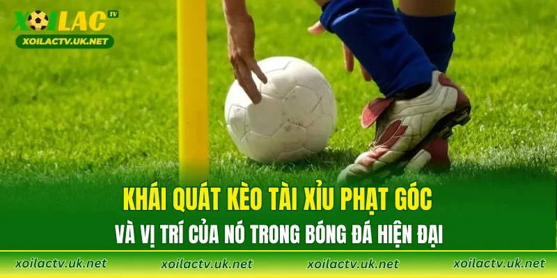 Khái quát kèo tài xỉu phạt góc và vị trí của nó trong bóng đá hiện đại