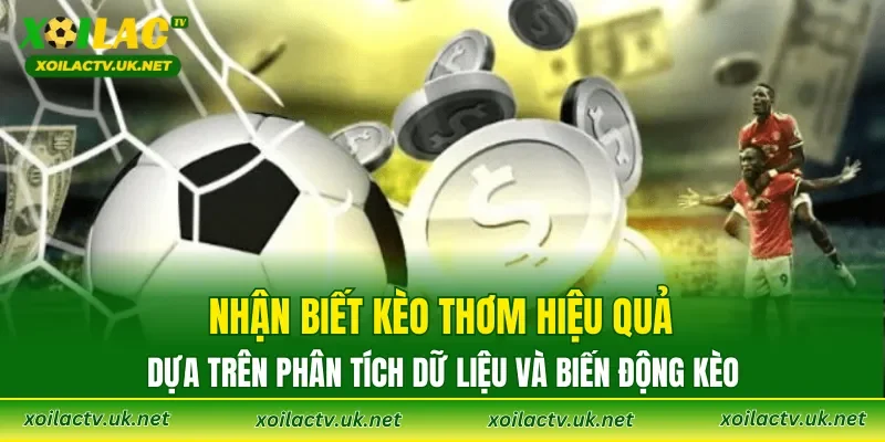 Nhận biết kèo thơm hiệu quả dựa trên phân tích dữ liệu và biến động kèo