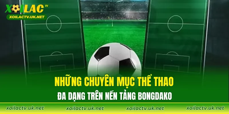 Những chuyên mục thể thao đa dạng trên nền tảng Bongdako