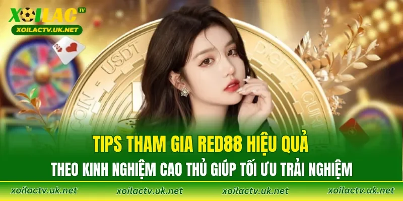 Tips tham gia RED88 hiệu quả theo kinh nghiệm cao thủ giúp tối ưu trải nghiệm