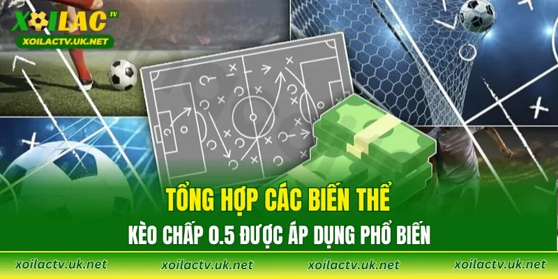 Tổng hợp các biến thể kèo chấp 0.5 được áp dụng phổ biến